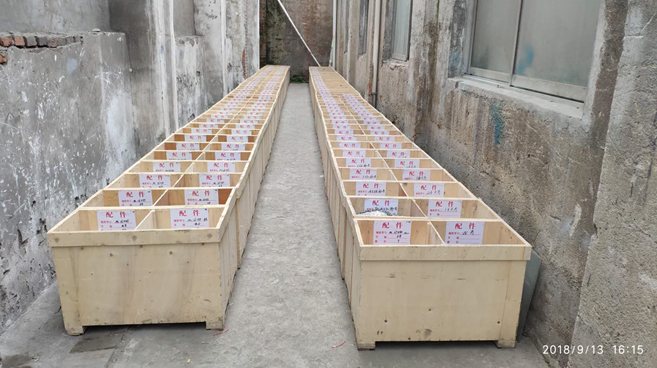 改善后：通道内物料箱规整摆放